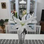 La Orquidea Апартаменты *