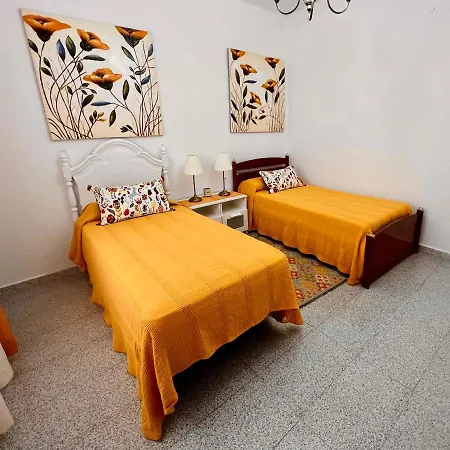 La Orquidea Vega de San Mateo