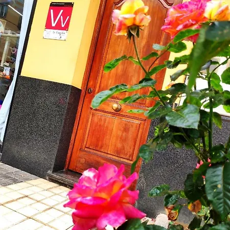 La Orquidea Vega de San Mateo