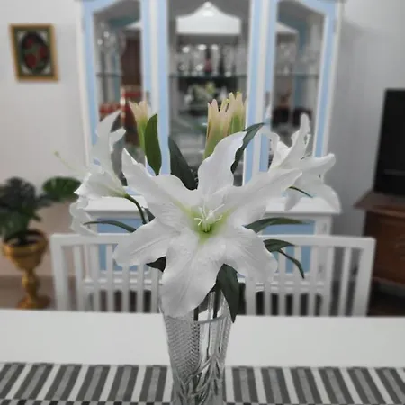 La Orquidea Apartman *