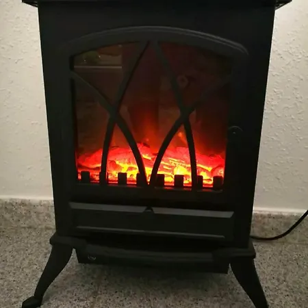 La Orquidea Vega de San Mateo